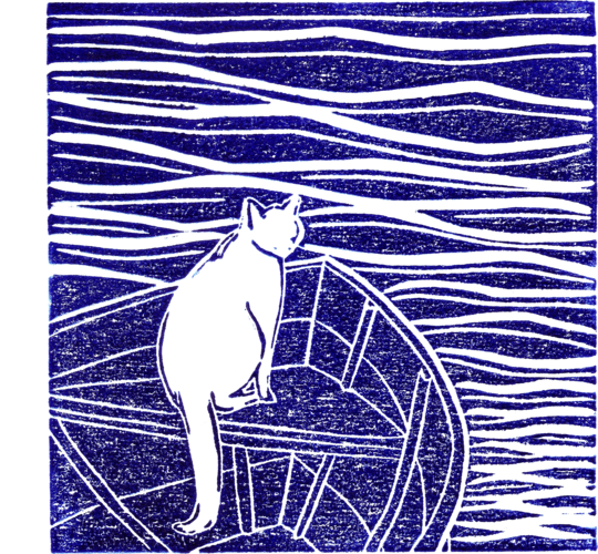 Vreau la mare! | Pisu marinar