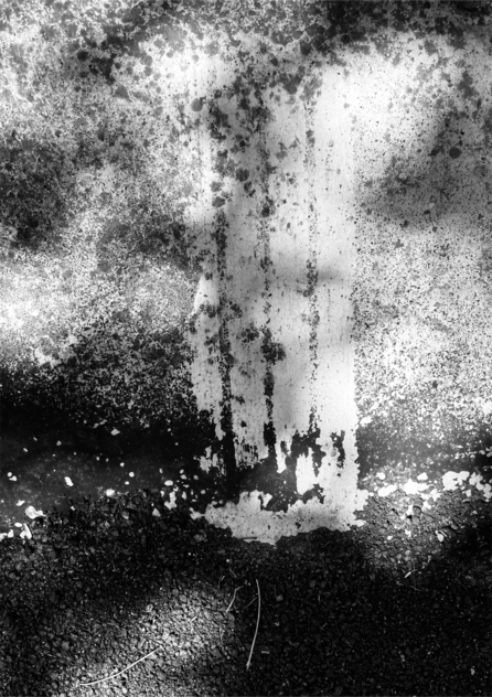 Mono Lights | Original Photography