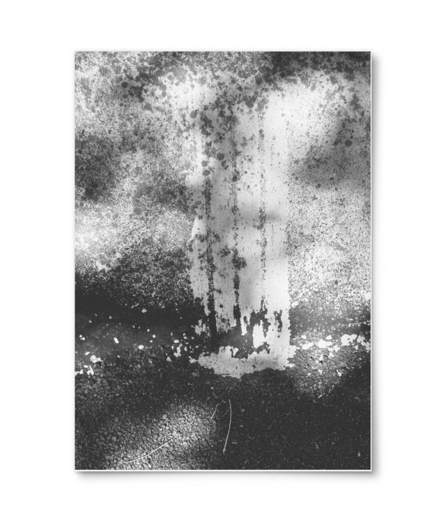 Mono Lights | Original Photography | Poster Premium - Portrait | Photo Matt Fibre 200