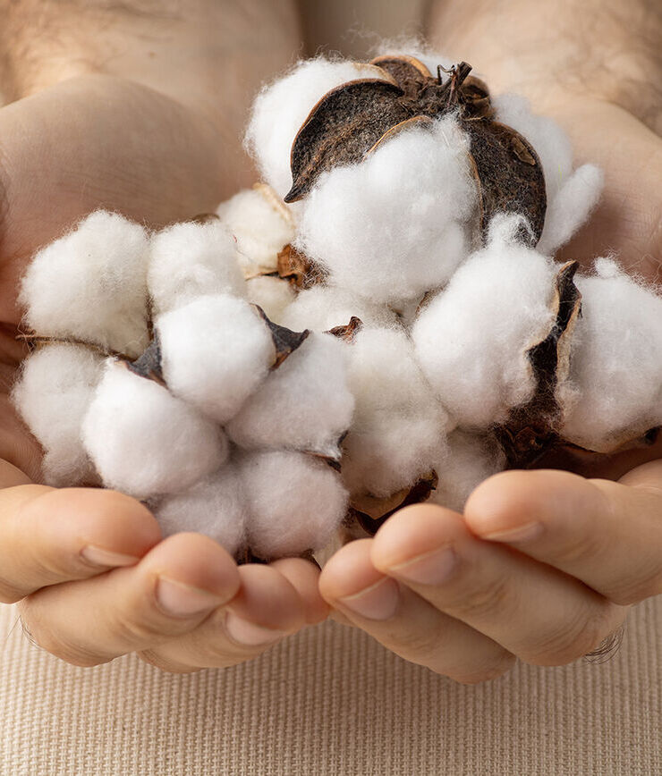 Certificare GOTS - câteva criterii