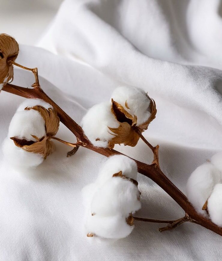 We are Proud to be a GOTS-Certified Printshop!