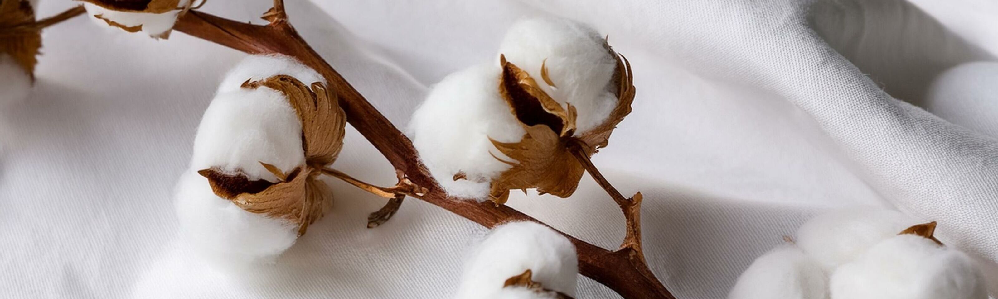 We are Proud to be a GOTS-Certified Printshop!