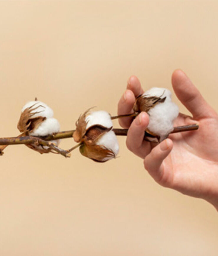 Printoteca este primul atelier de print din România certificat GOTS