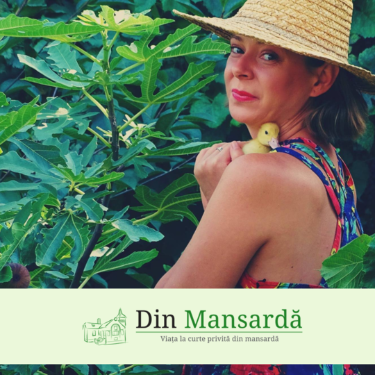 Din mansardă | Ivona Maris