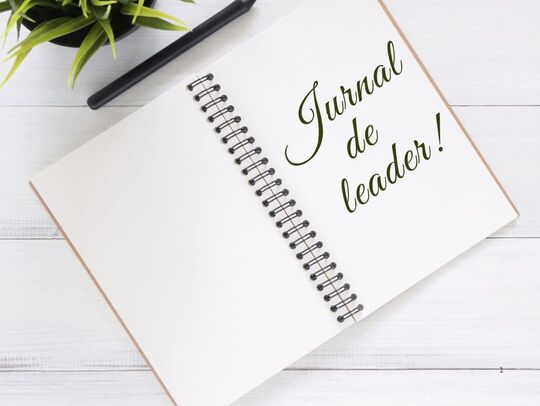 Jurnal de LEADER