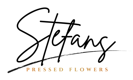 Stefans Pressed Flowers